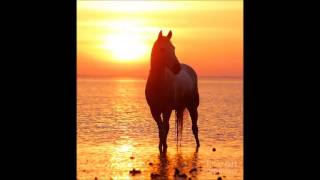 Aimee Allen - Wild Horses