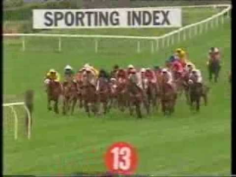 1998 Citroen Supreme Novices' Hurdle