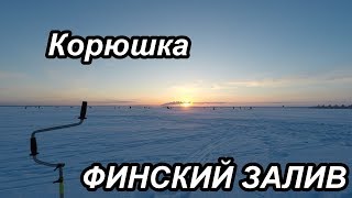 Клев корюшки на финском заливе