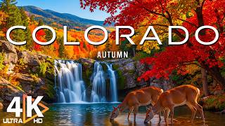 Autumn in Colorado 4K 🍂 Scenic Drives, Aspen Trees & Rocky Mountains Fall Colors