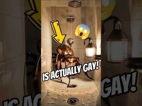 World BIGGEST Spider Ever! 🕷😱