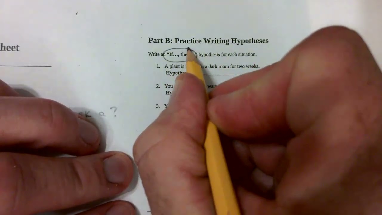 The Scientific Method Worksheet