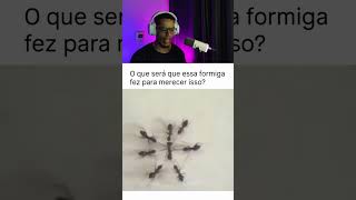 Levaram a formiga #shorts