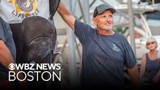 Blue marlin reeled in off Massachusetts may be largest-ever East Coast catch
