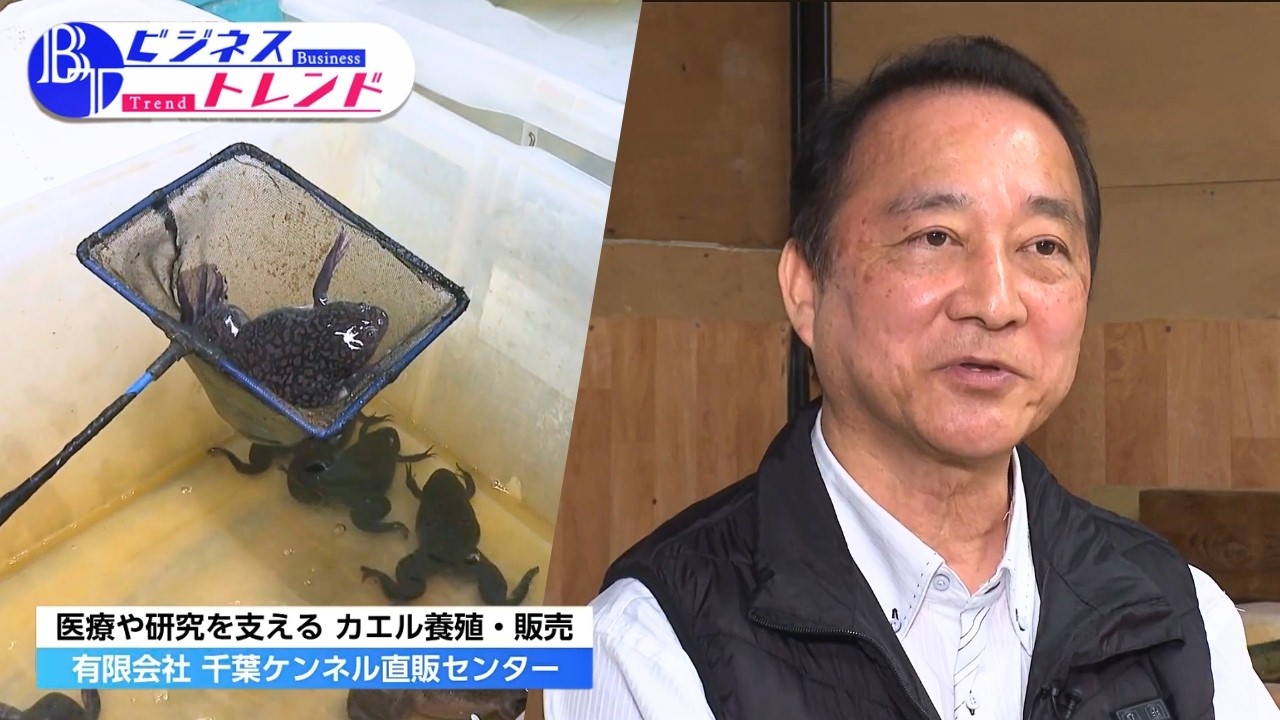 【ビジネストレンド】有限会社千葉ケンネル直販センター（2026年3月26日放送）【チバテレ公式】
