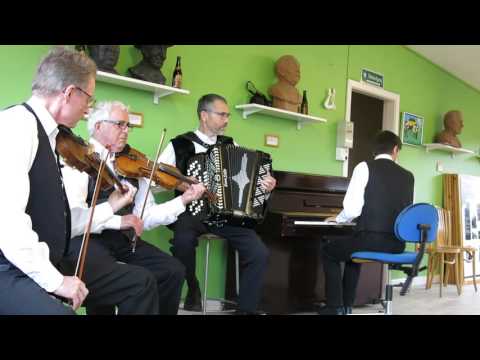 "Hamborg sekstur" - Rebild Spillemændene / Danish folkdancemusic