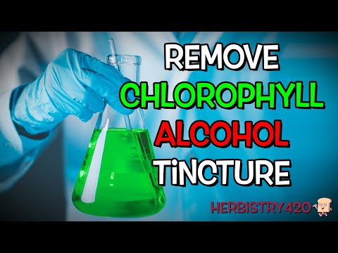 The Best 5-Step Method to Remove Chlorophyll from Your Tincture