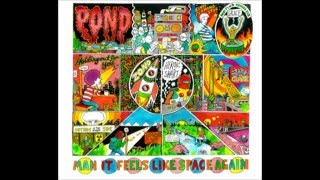 Pond - Medicine hat studio version