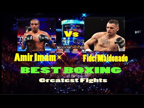 Fidel Maldonado vs Amir Imam Highlight Fights | Best Boxing