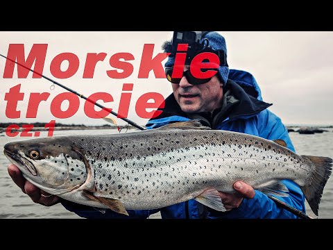 Sea trout fishing trip to Sweden part 1 / episode 69