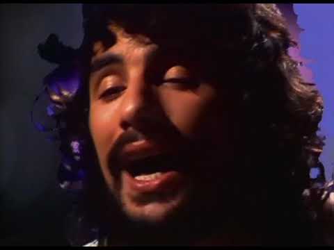 Cat Stevens - Hard Headed Woman (1970)