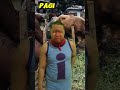 Qurban Idul Adha 2025 Shorts Iduladha