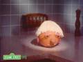 Sesame Street Operatic Orange