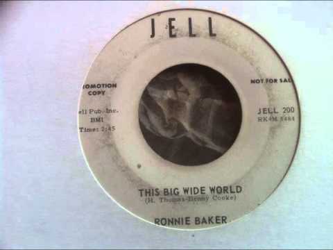ronnie baker ' this big wide world   jell records