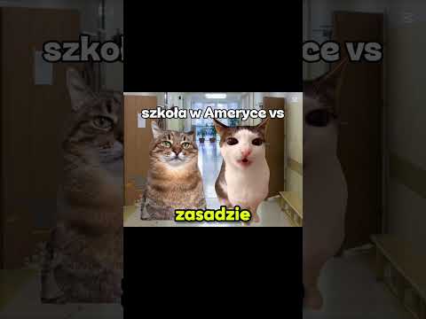 pov szkoła w Ameryce vs w Polsce 🤣dzwięk: nie pamiętam, przepraszam...