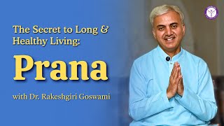 Download lagu Unlock the Prana Secret for Longevity & Vitality | Yogbliss mp3