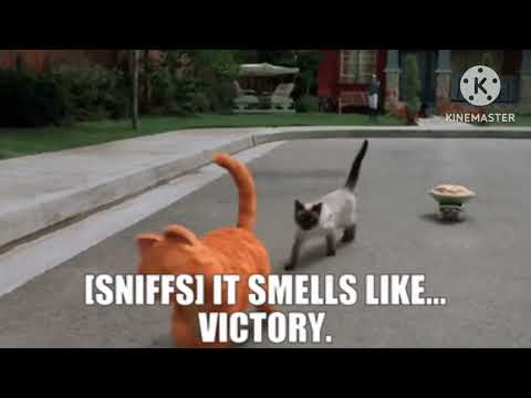 Animals Radio Inc. Part 18 Tricking Jimmy