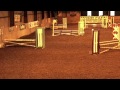 Show Jumping pony falls - Down not out 