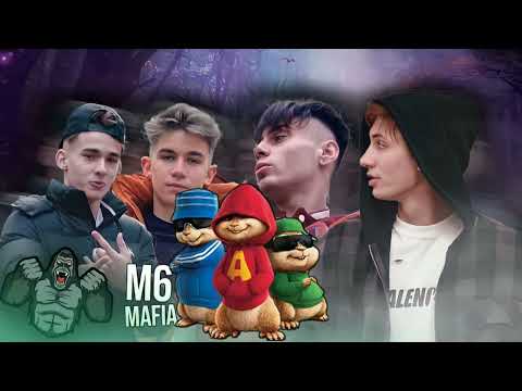 Alvin și Veverițele cântă - TABARA (YNY Sebi x Petre Stefan x El Niku x Aron)