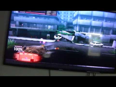 tokyo jungle walkthrough- fighting a boss cat PS3