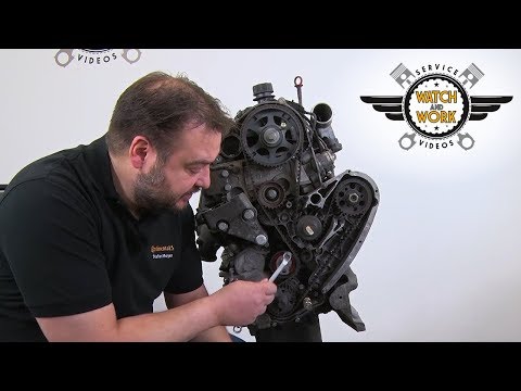 [DE] Watch and Work -Fiat Ducato 2.3l 88kW