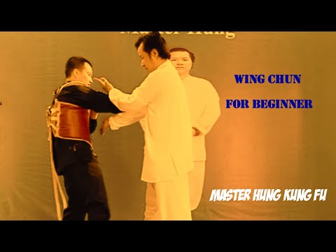 Kung Fu techniques you need to know | Wing Chun 8