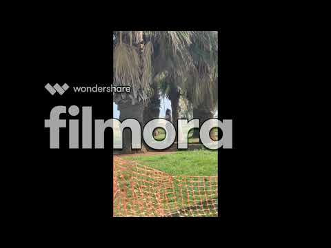 @danimflow & Flowzeta JC - MALVADA REMIX SPAIN Escena del videoclip