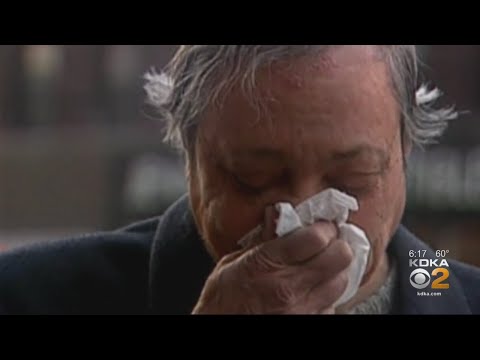 Pittsburgh Pollen