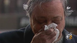 Pittsburgh's Pollen Counts At National Allergy Bureau's Highest Possible Level
