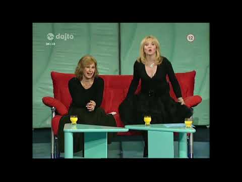 Aj múdry schybí X. 04 (2006)