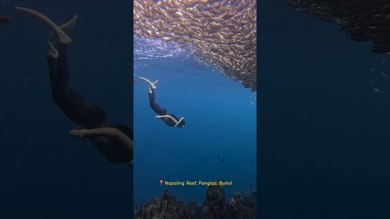 YouTube Short thumbnail