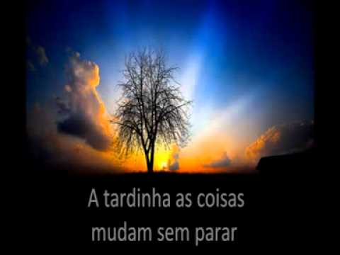 Eu Amo Mais Você video