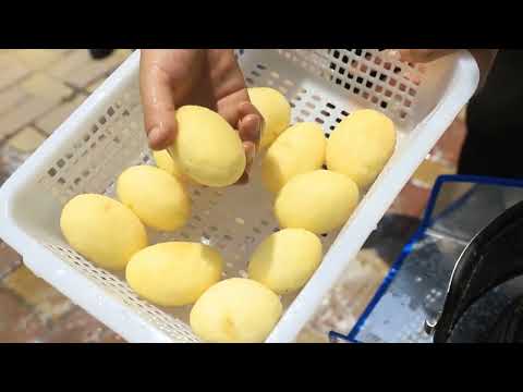 Commercial electric potato peeler machine price