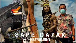 Download lagu Sape Dayak ( Borneo) terbaru 2022 || Instrumen Sape mp3