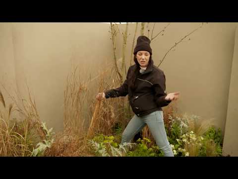 RTÉ Super Garden Episode 5: Take a Sneak Peek at Siobhan Keogh's garden design!