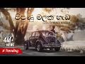 Pipunu Malaka පිපුණු මලක හැඩ Cover By Thiwanka Mihiran