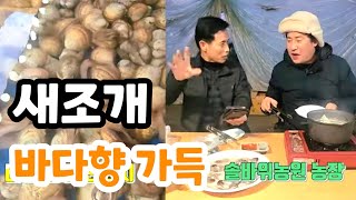 택배 왔어요! 바다향 가득 새조개