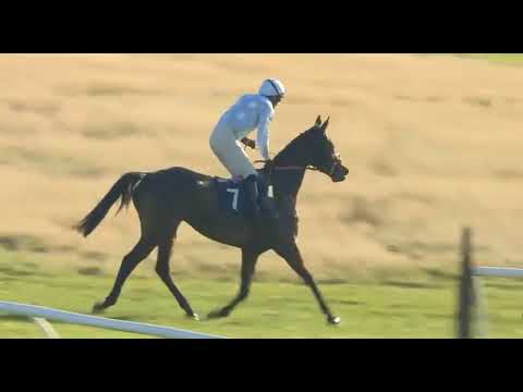 **RACE2 - HEXHAM |  UK | ON 07 NOV 2025