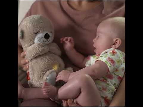 Fisherprice Bedtijd Otter