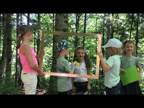 Baumartenpfad Leibertingen - TANNE für Kinder