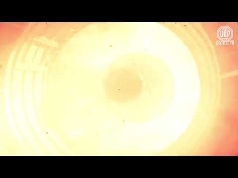 Fever (UCP Berlin Remix)