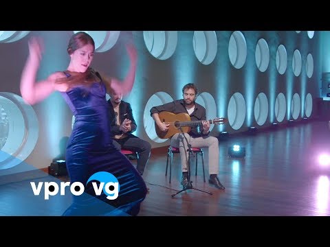 Dani de Morón, Patricia Guerrero Mi luz mi guía Flamenco