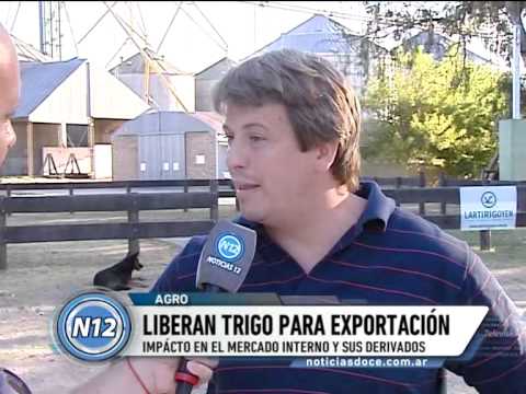 CANAL 12 T.Lauquen - Bories