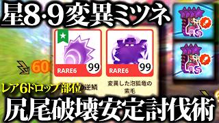 【変異ミツネ】レア6＆変異素材集め効率UP、星8SPワンパンに必要な最低限期装備＆期待値・実戦、星９尻尾破壊討伐を安定させる３つのポイント【モンハンナウ】