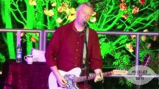 Billy Bragg - Tomorrow&#39;s Gonna Be A Better Day - Moseley Folk 2011