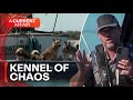 The Floating Kennel Of Chaos A Current Affair