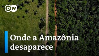 Miniatura do vídeo