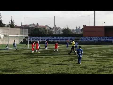 FILHOTE SUB 10 OLIVEIRA DO DOURO