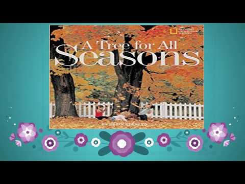 6.3 A Tree For All Seasons