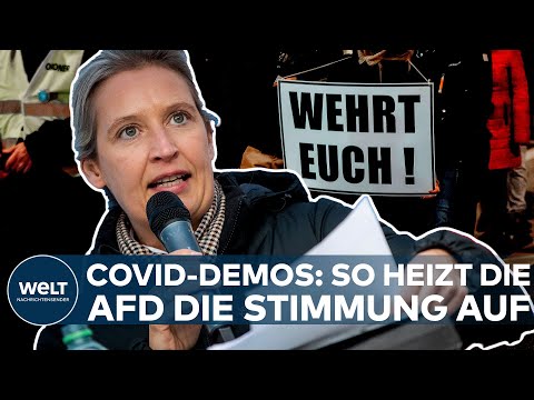 CORONA-ESKALATION: "Eine Art zweite Pegida" Diese Rolle spielt die AfD bei den Protesten I WELT News